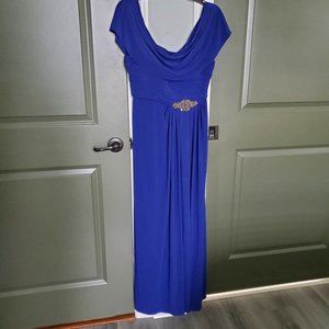Ladies Special Occasion dress